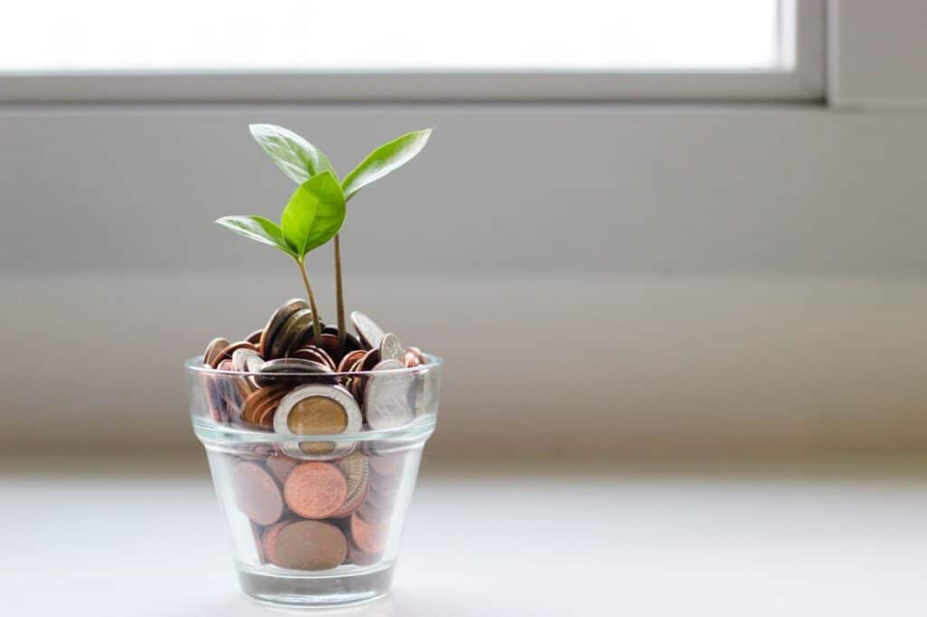 Plant with bottle of coins